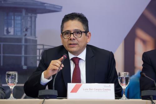 Luis del Carpio, director ejecutivo de ProInversión. ANDINA/Difusión