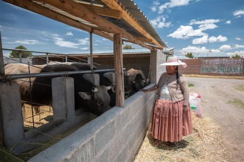 Agrobanco impulsa inclusión financiera rural con más de S/ 205 millones en créditos para mujeres productoras. Foto: ANDINA/Difusión