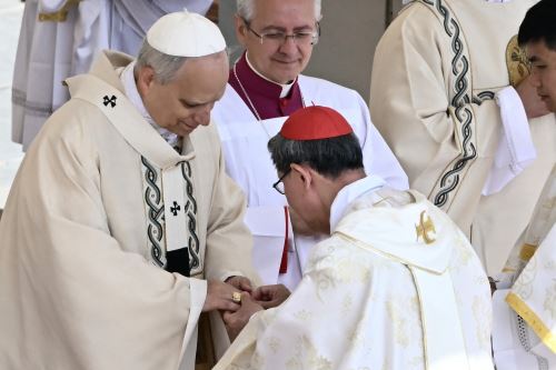 El Papa León XIV preside la Santa Misa de inicio de su pontificado