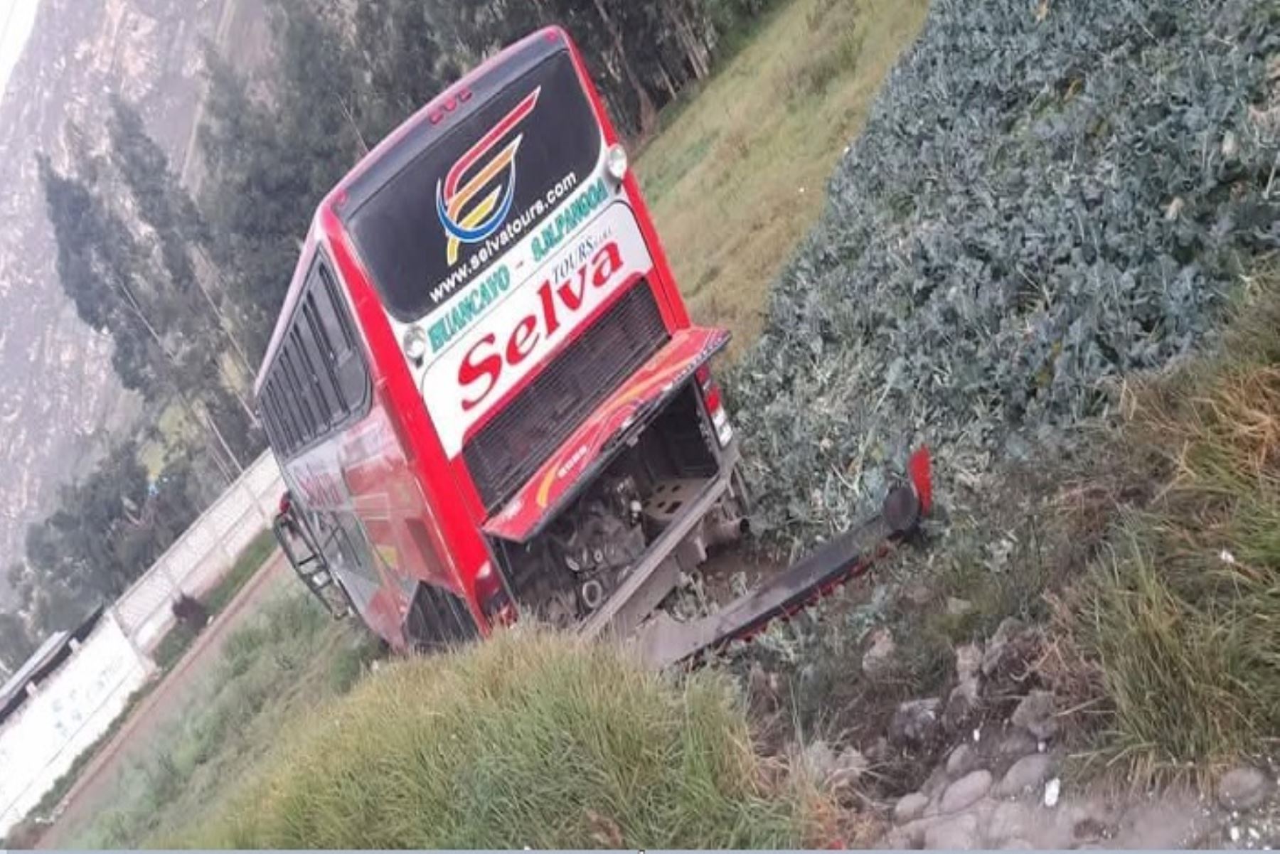 Los más de 50 pasajeros del ómnibus, muy asustados, lograron abandonar el vehículo por sus propios medios, algunos con golpes y lesiones leves.