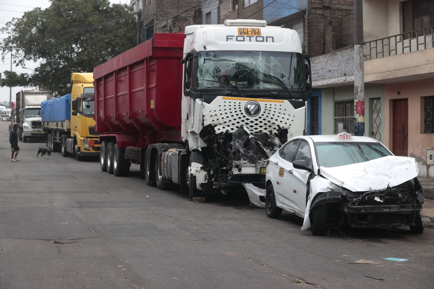 Foto: ANDINA/Vidal Tarqui.