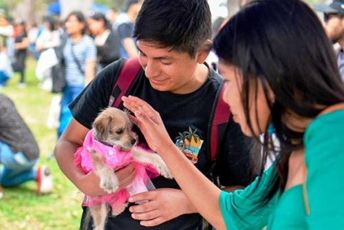 La Diris Lima Sur realizó una actividad con el objetivo de brindar atención médica a las mascotas y promover la salud pública para prevenir enfermedades zoonóticas. Foto: ANDINA/Difusión.