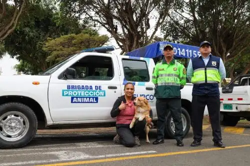 Surco:instalan la primera oficina policial que atenderá casos de maltrato animal