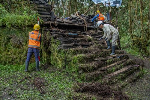 Los trabajos de investigación arqueológica en el Gran Pajatén estuvieron a cargo de un equipo que financió el Fondo Mundial de Monumentos (WMF). ANDINA/Difusión