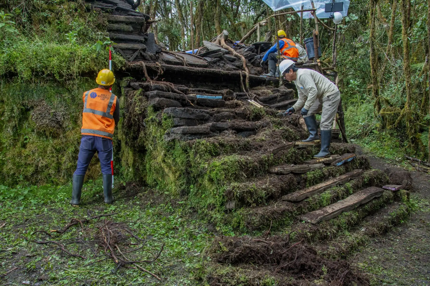 El hallazgo de nuevas estructuras en el Gran Pajatén despertó el interés del Goresam para poner en valor este importante sitio arqueológico. ANDINA/Difusión