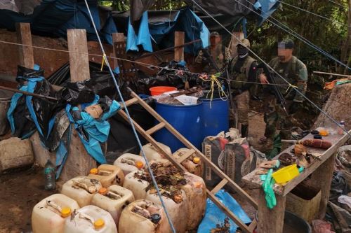 Fuerzas Armadas dieron un nuevo golpe al narcotráfico en la región Junín. Foto: MINDEF/Difusión.