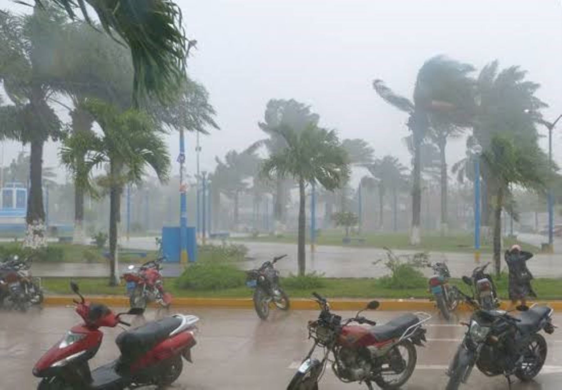 Iquitos y otras ciudades de la Selva peruana se ven afectadas esta semana por un periodo de lluvias, vientos fuertes y un ligero descenso de temperatura, advirtió el Senamhi. Foto: ANDINA/difusión.