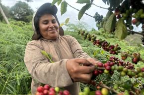 Capacitación del Serfor mostrará los beneficios del Contrato de Cesión en uso de Sistemas Agroforestales. Foto: SERFOR/Difusión.