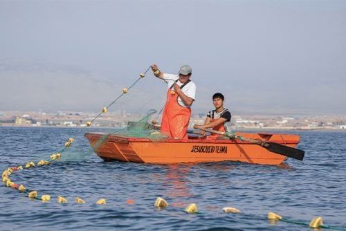 ANDINA/Difusión