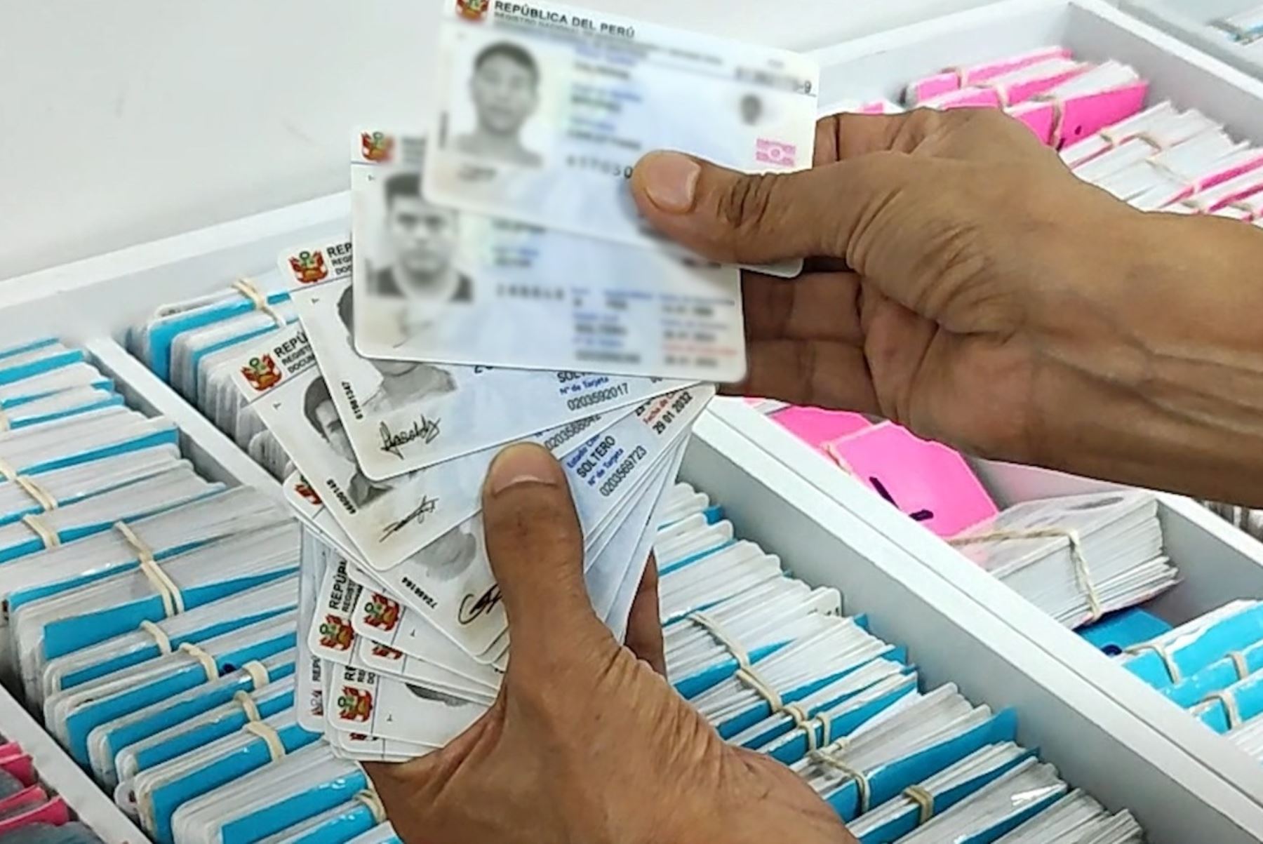 Más de 3,200 peruanos optaron por el “SÍ” a la donación de órganos. Foto: ANDINA/Difusión.