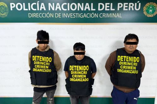 ANDINA/Difusión