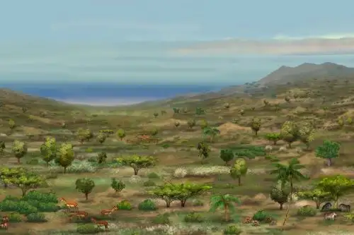 Representación artística del paisaje costero del Perú central durante el Mioceno tardío. El desierto de Sacaco estaba cubierto de vegetación; era un bosque único. Reconstrucción: Javier Herbozo