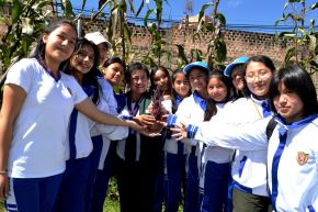 Estudiantes de la I.E. Juan XXIII de Cajamarca cosecharon 26 kilogramos de maíz morado. Foto: Cortesía Eduard Lozano
