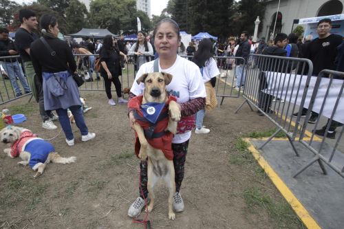 Perrotón 2025: más de 50 canes se darán en adopción en el Circuito Mágico