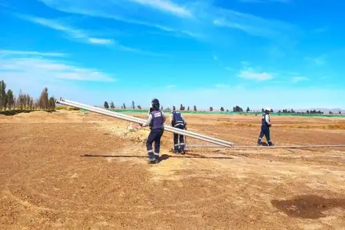 Algunos agricultores realizaron plantaciones de paletas de tuna para la producción de cochinilla e instalaron tuberías para riego por aspersión, las cuales fueron retiradas y destruidas con apoyo de maquinaria pesada del PEIMS.