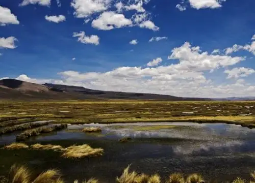 La conservación y protección de los ecosistemas andinos es una de las prioridades del Estado peruano, afirma el Minam.