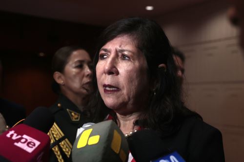 Foto: ANDINA/Vidal Tarqui.