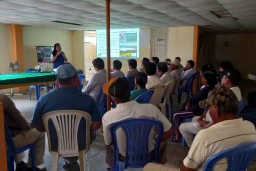 Comuneros de San Lucas de Colán se capacitan en desarrollo forestal sostenible. Foto: Gore Piura/Difusión.