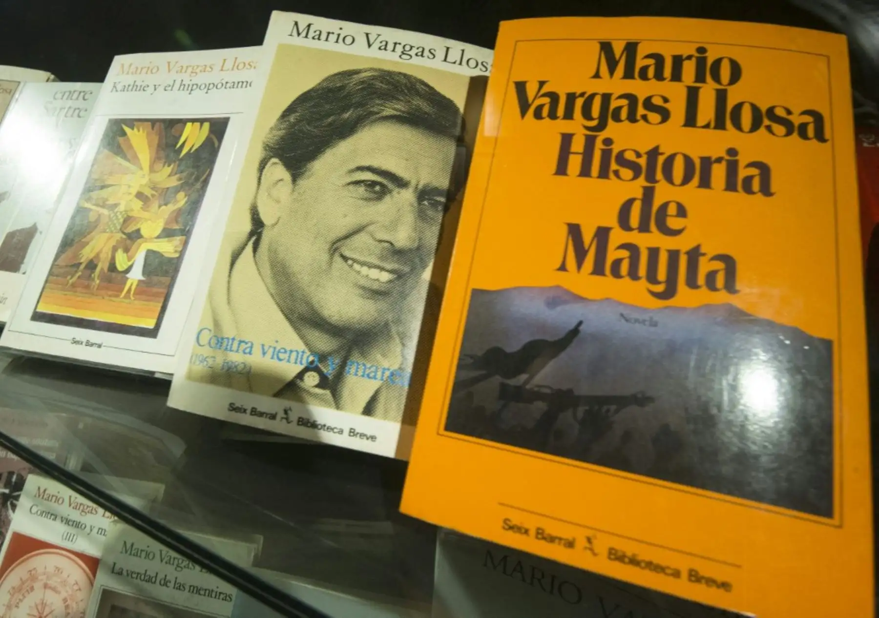 El libro recoge un viaje por el Perú con la mirada del periodista Joaquín Santaella, quien retrata lugares emblemáticos relacionados con la vida y obra de Mario Vargas Llosa. Foto: AFP