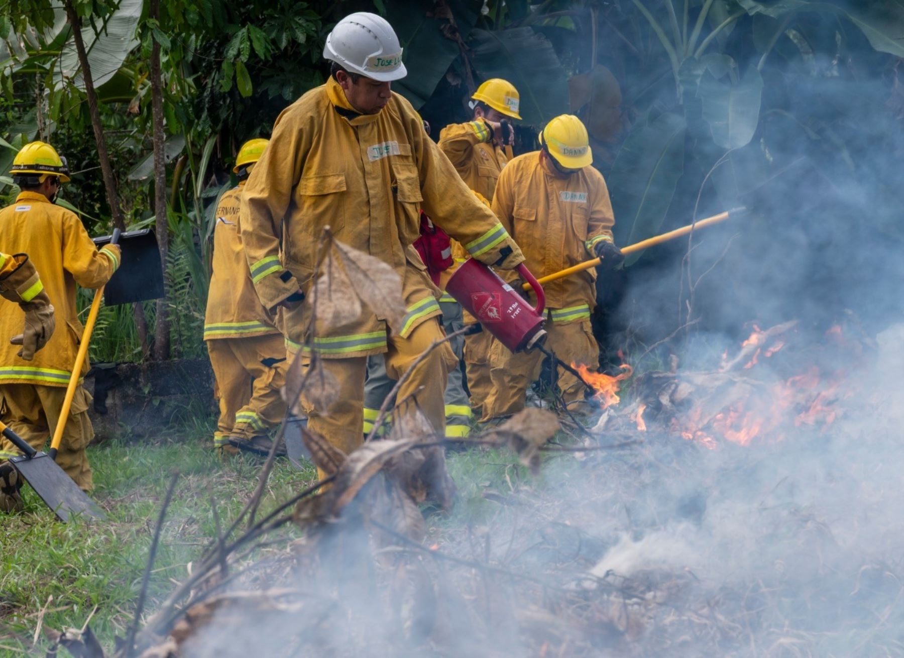 Un total de 25 nuevos bomberos forestales reforzarán la primera línea de defensa ante incendios forestales en el Parque Nacional del Manu, informó el Sernanp. ANDINA/Difusión