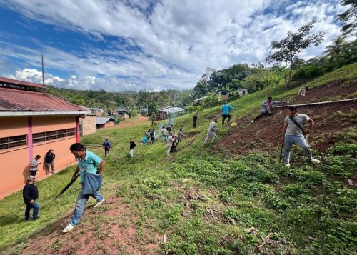 Una nueva jornada de reforestación se realizó en la región San Martín. Esta vez se desarrolló en la provincia de Lamas y se sembraron más de 300 plantíos de especies nativas. ANDINA/Difusión