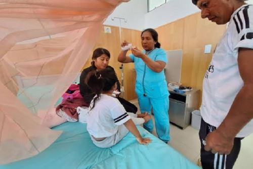 Con la partida asignada se financiará el trabajo de las brigadas que buscan combatir el brote de dengue en la provincia de Datem del Marañón. ANDINA/Difusión