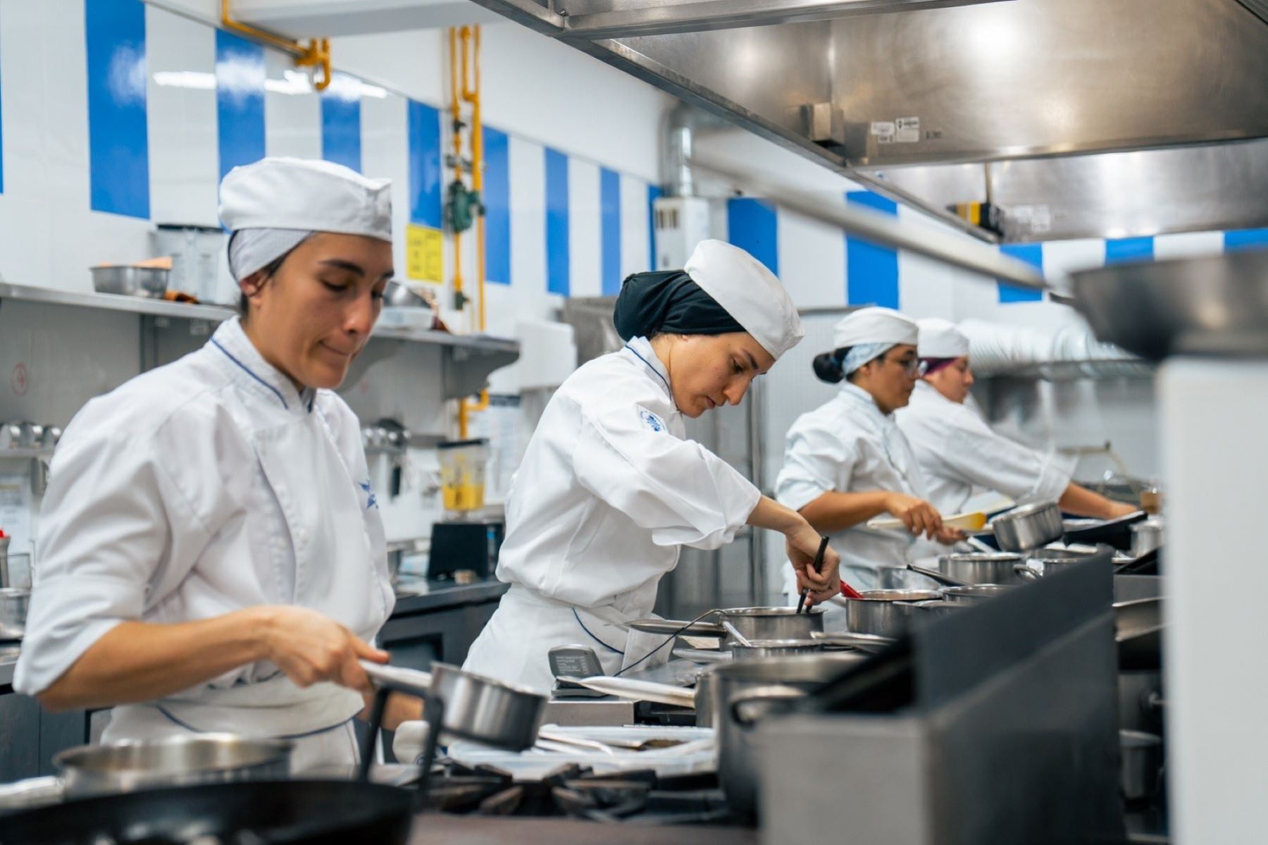 “Sabores de Corea” es el nombre del concurso gastronómico organizado por el instituto Le Cordon Bleu (LCB), en alianza con la embajada de ese país. Es así como los futuros chefs asumen el reto de crear platos donde el alma coreana dialogue con la identidad peruana. Foto: ANDINA/Difusión