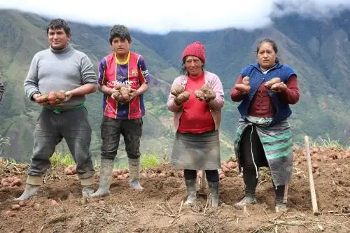 ANDINA/Difusión