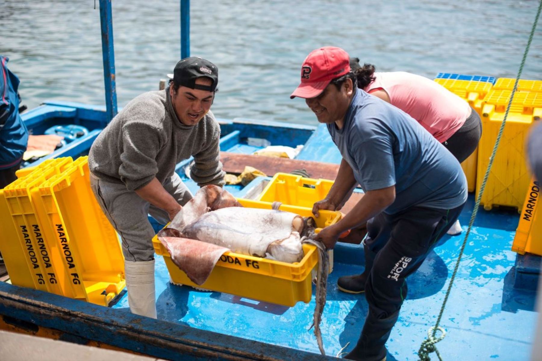 Pesca. Foto: ANDINA/Difusión