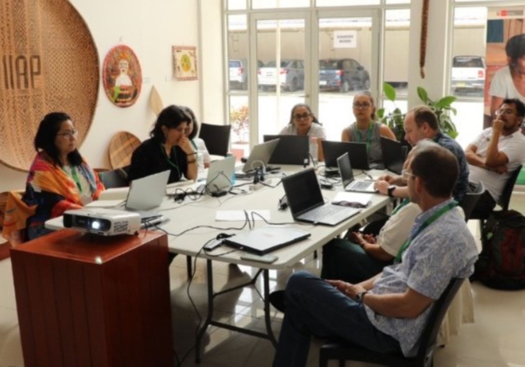 Con varios acuerdos concluyó la Reunión Anual de la Red Bioamazonía que se realizó en Iquitos. Entre los principales se encuentran la estructuración de cuatro proyectos de transferencia tecnológica basados en especies amazónicas como el camu camu y aguaje. ANDINA/Difusión