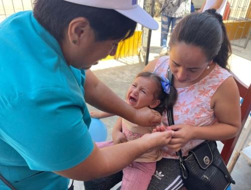 La tos ferina es una enfermedad infecciosa altamente contagiosa que afecta al sistema respiratorio y que una sola persona puede llegar a contagiar a otras 17.