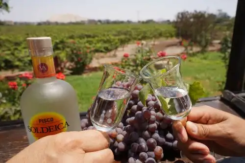 Ica, la cuna del pisco, está de aniversario y lo celebrará a lo grande. Este 17 de junio se cumplen 462 años de fundación española. Foto: Genry Bautista