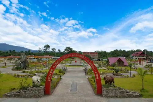 El sismo fue percibido moderado en los distritos de Codo del Pozuzo, Puerto Inca y Honoria, de la provincia de Puerto Inca; así como en la jurisdicción de Tingo María, provincia de Leoncio Prado.ANDINA/Difusión