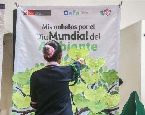 Más de 56,000 instituciones educativas públicas y privadas de todo el país impulsan acciones concretas por el cuidado del planeta, destacó el Ministerio de Educación en el Día Mundial del Medio Ambiente. ANDINA/Difusión