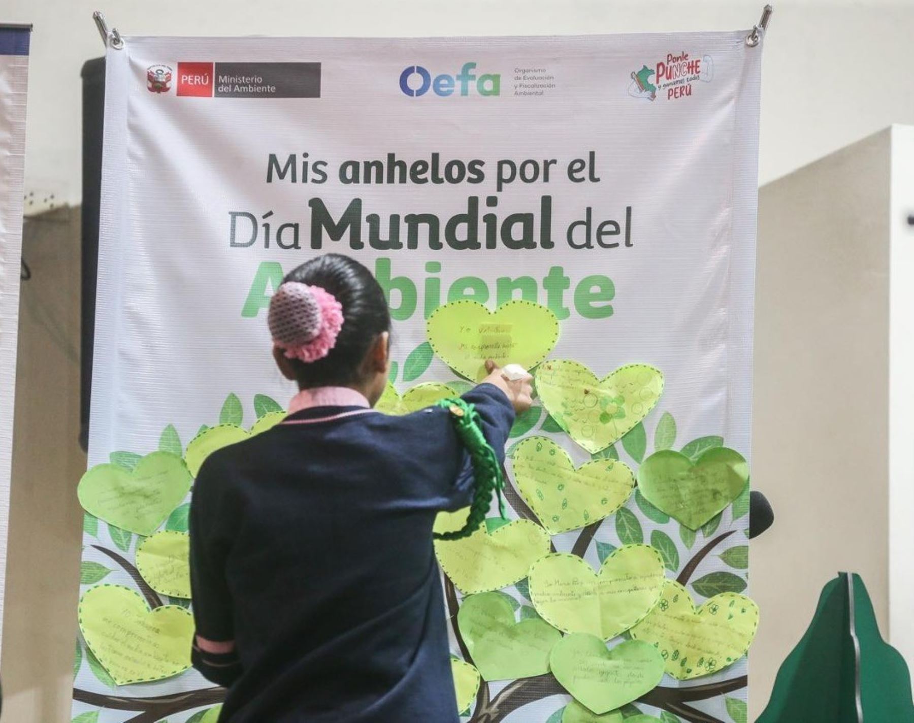 Más de 56,000 instituciones educativas públicas y privadas de todo el país impulsan acciones concretas por el cuidado del planeta, destacó el Ministerio de Educación en el Día Mundial del Medio Ambiente. ANDINA/Difusión