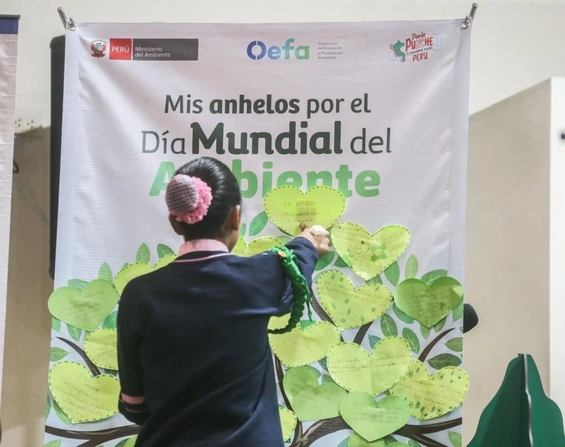 Más de 56,000 instituciones educativas públicas y privadas de todo el país impulsan acciones concretas por el cuidado del planeta, destacó el Ministerio de Educación en el Día Mundial del Medio Ambiente. ANDINA/Difusión