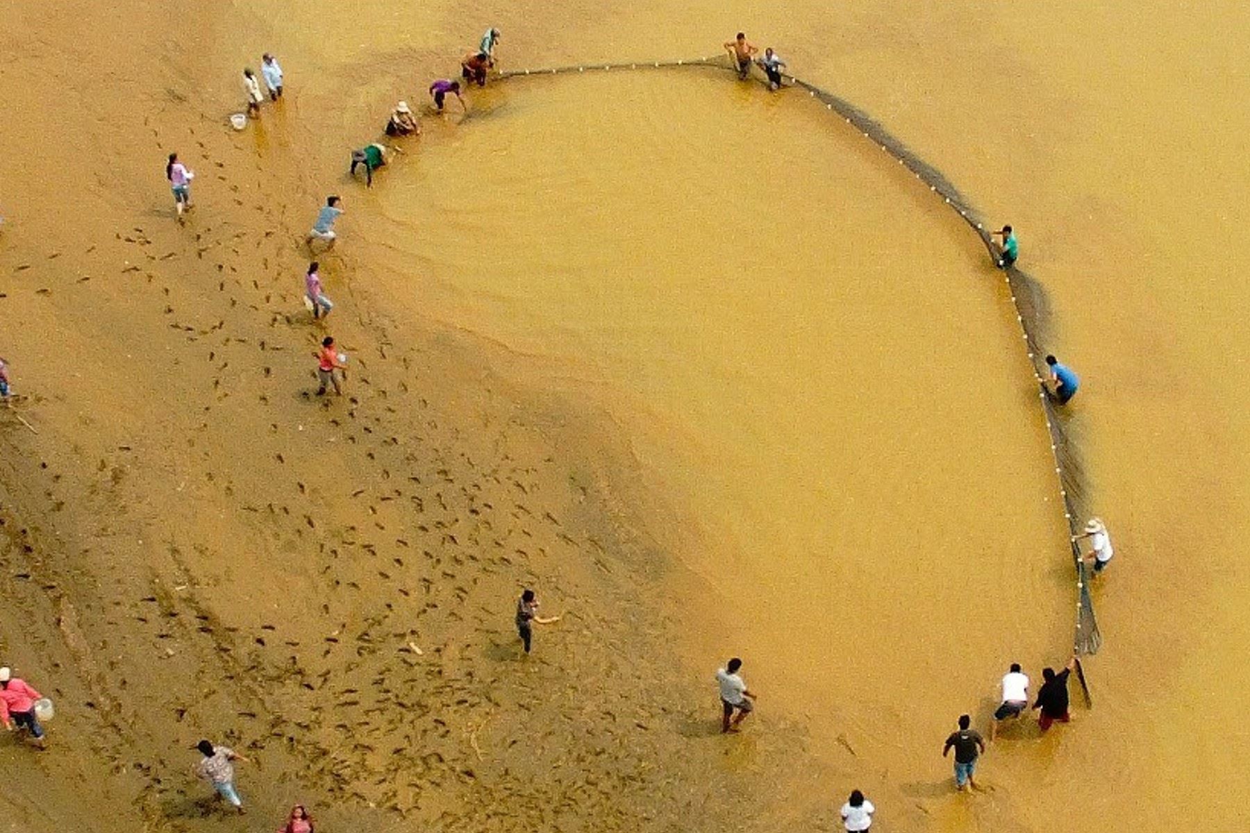La investigación subraya la importancia de restaurar y mantener conexiones naturales entre los ecosistemas acuáticos, como parte de los esfuerzos de recuperación ambiental en la Amazonía. Foto: UTEC