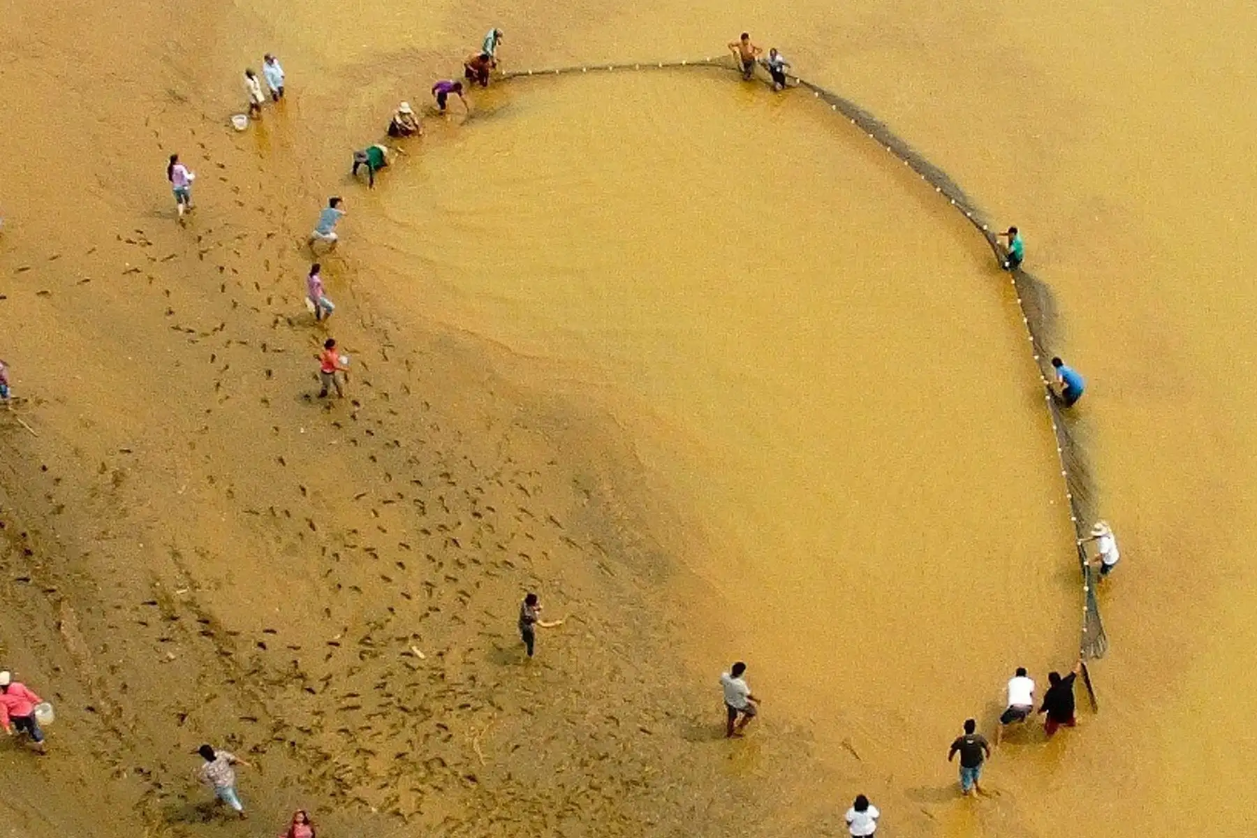 La investigación subraya la importancia de restaurar y mantener conexiones naturales entre los ecosistemas acuáticos, como parte de los esfuerzos de recuperación ambiental en la Amazonía. Foto: UTEC