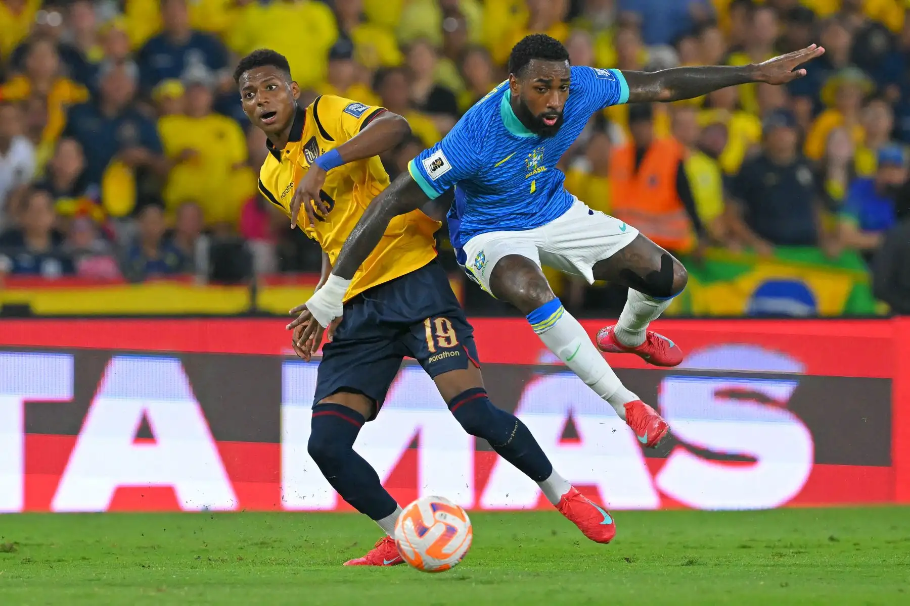 El mediocampista ecuatoriano  Nilson Angulo y el mediocampista brasileño Gerson luchan por el balón durante el partido de clasificación sudamericana para la Copa Mundial de la FIFA 2026 entre Ecuador y Brasil. AFP