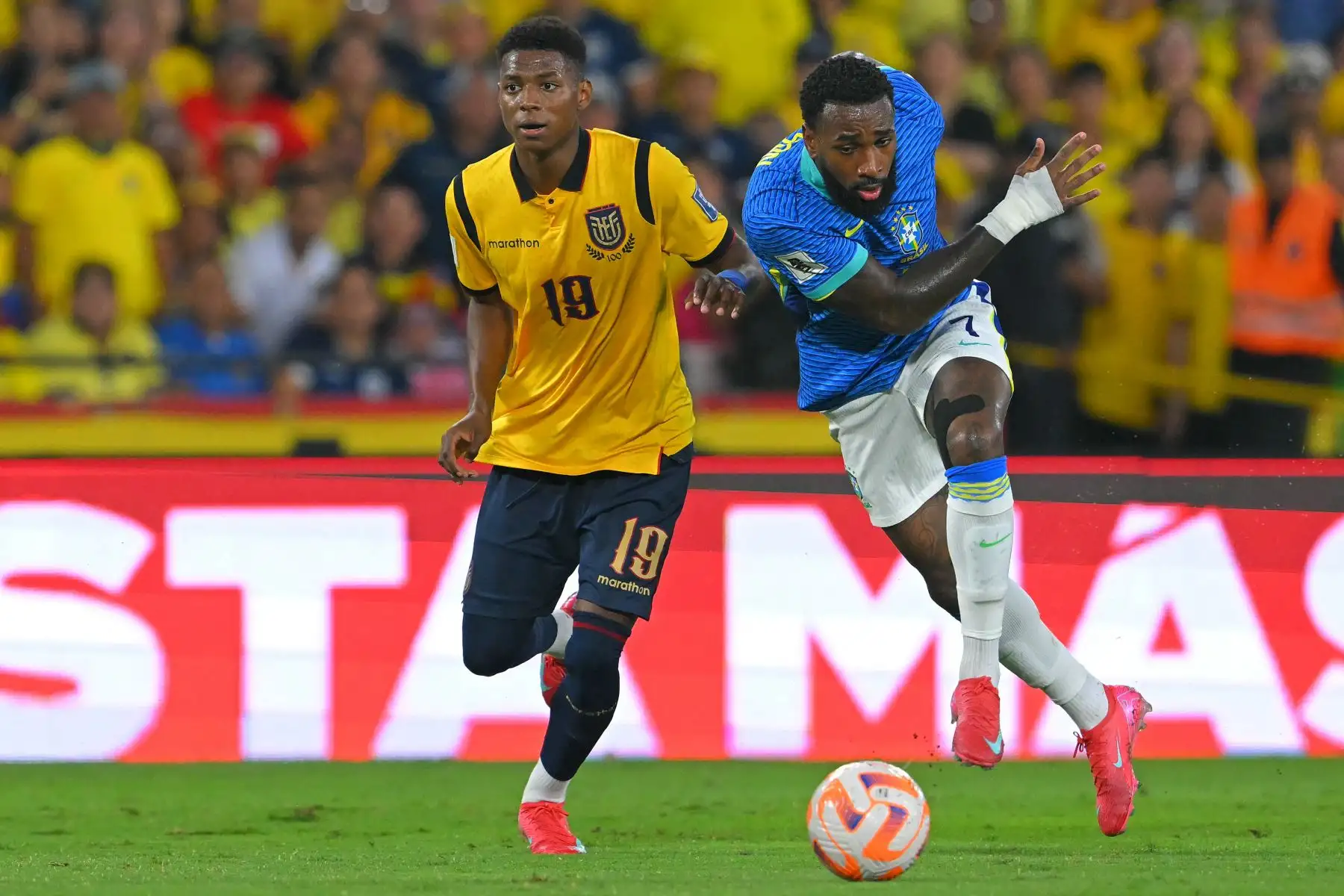 El mediocampista ecuatoriano  Nilson Angulo y el mediocampista brasileño  Gerson luchan por el balón durante el partido de clasificación sudamericana para la Copa Mundial de la FIFA 2026 entre Ecuador y Brasil. AFP
