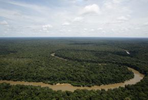 La nueva Área de Conservación Regional Medio Putumayo Algodón se ubica en la provincia de Putumayo, en la región Loreto.
