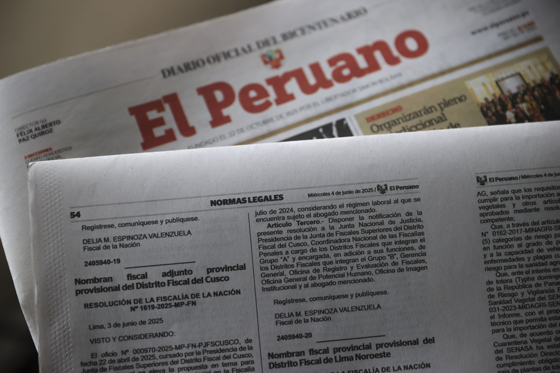 Foto: ANDINA/Jhonel Rodríguez Robles.