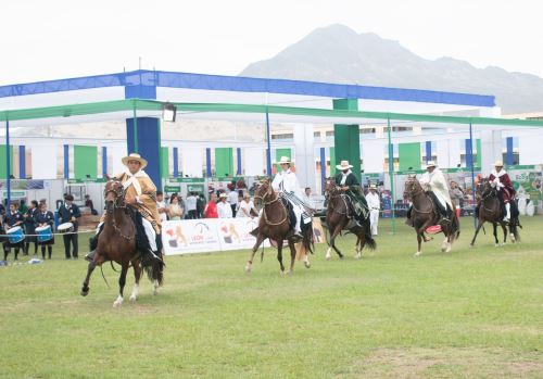 El Concurso de Caballo Peruano de Paso fue una de las actividades centrales de la Feria Paiján Tierra Fértil 2025 que atrajo a miles de visitantes. ANDINA/Difusión