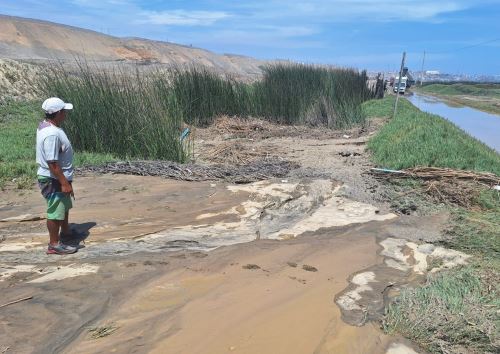 Un nuevo desborde se registró en la Planta de Tratamiento de Aguas Residuales de Sedalib en el distrito liberteño de Huanchaco que afectó los humedales de la zona y la carretera Costanera. ANDINA/Difusión