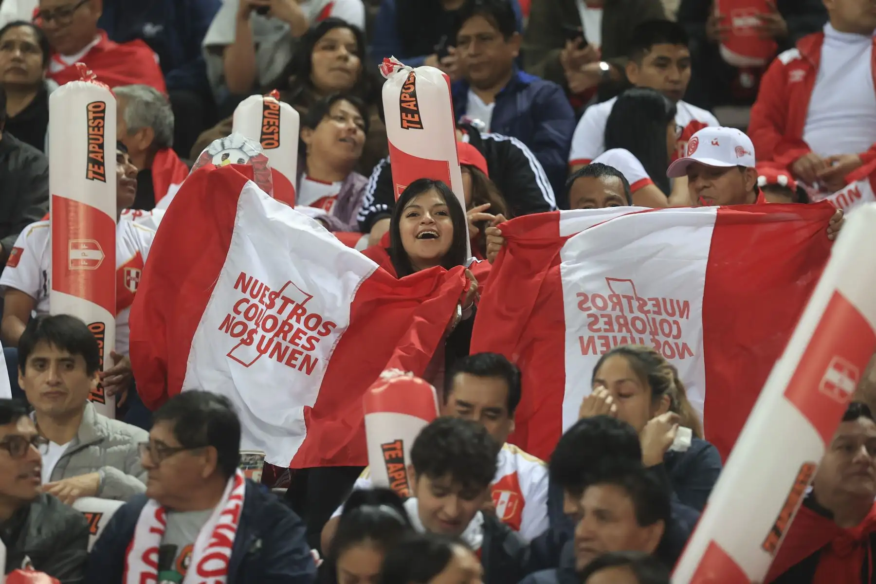 Hinchas alientan en el Estadio Nacional previo al encuentro entre Perú y Ecuador por las eliminatorias rumbo al mundial 2026. Foto: ANDINA/Jhonel Rodríguez Robles