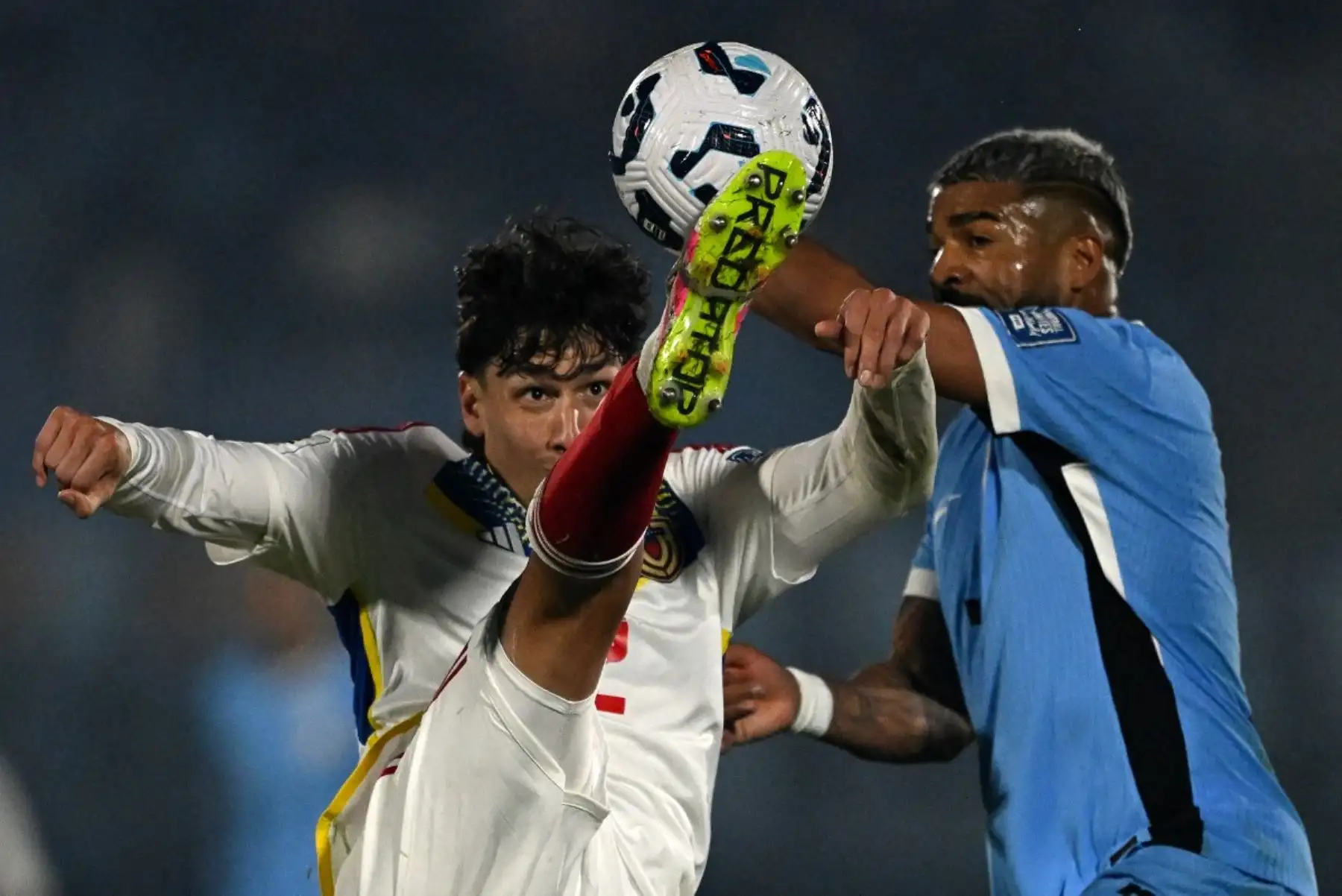 El arco se abrió para la Celeste, que venía de cuatro partidos sin ganar en las eliminatorias, al cierre de la primera mitad (43) con un cabezazo e Rodrigo Aguirre y al inicio del complemento (47) cuando Giorgian De Arrascaeta anotó el 2-0 para desatar el festejo en el estadio Centenario. Foto: AFP
