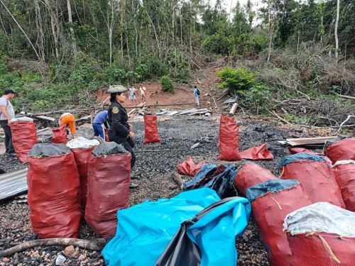 La Policía Nacional ejecutó un operativo en Tingo de Ponaza, región San Martín, donde incautó más de 14 toneladas de carbón de origen ilegal.