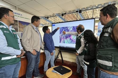 Las imágenes satelitales, conocidas como mosaicos, contienen vistas unidas y corregidas que muestran información actual de ríos, carreteras, bosques, comunidades y zonas urbanas del departamento. Foto: Serfor