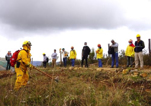 Más de 40 trabajadores de siete municipalidades de Amazonas recibieron capacitación especializada para combatir incendios forestales en dicha región. ANDINA/Difusión