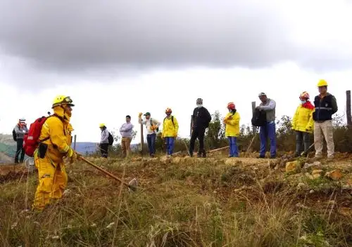 Más de 40 trabajadores de siete municipalidades de Amazonas recibieron capacitación especializada para combatir incendios forestales en dicha región. ANDINA/Difusión